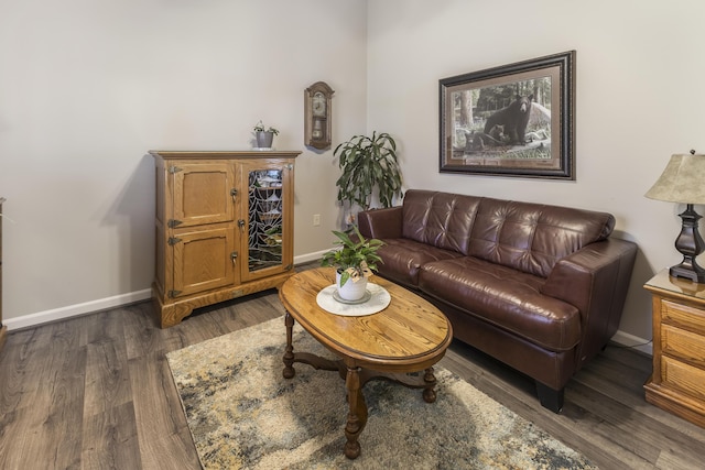 6150 Northpoint Dr, Saint Helen, MI 48656 - living room featuring dark wood-style floors and baseboards