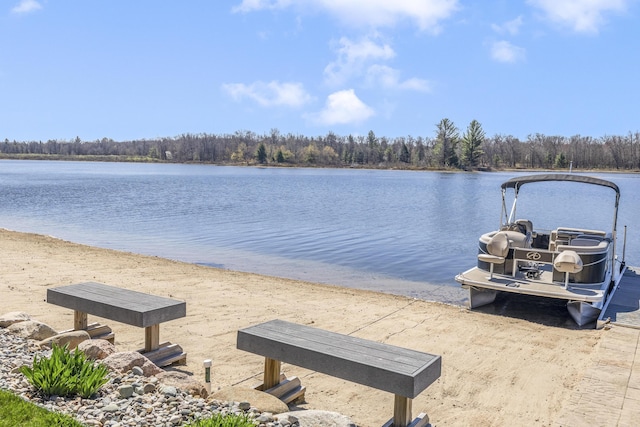 6150 Northpoint Dr, Saint Helen, MI 48656 - dock area with a water view and a view of trees