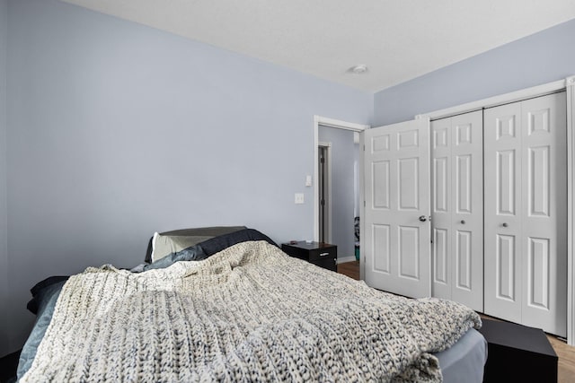 635 Gazelle St, Gaylord, MI 49735 - bedroom with a closet and wood finished floors