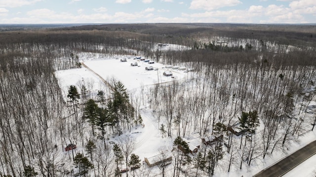 598 Gazelle St, Gaylord, MI 49735 - view of snowy aerial view