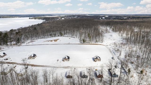 598 Gazelle St, Gaylord, MI 49735 - view of snowy aerial view