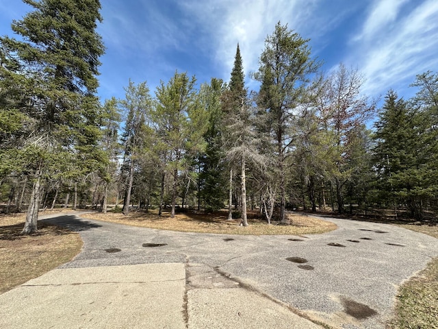 view of street with a forest view