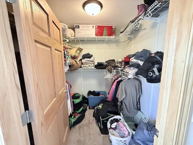 walk in closet with carpet