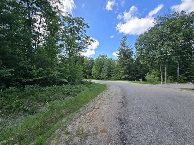 LOT56 Crystal Ln, Roscommon, MI 48653 - photo 2