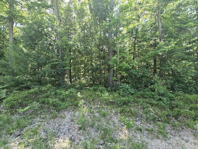 LOT56 Crystal Ln, Roscommon, MI 48653 - photo 3