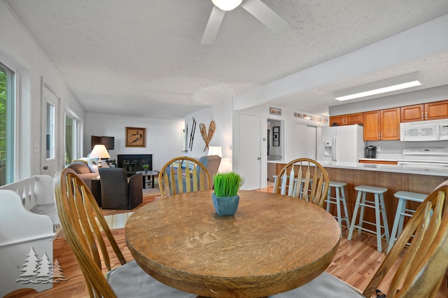 dining space featuring a textured ceiling, light wood finished floors, ceiling fan, and a glass covered fireplace