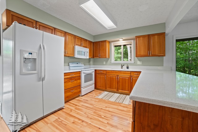 kitchen featuring light wood-type flooring, white appliances, a textured ceiling, brown cabinetry, and a sink