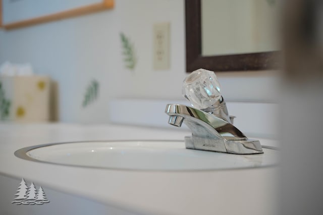 details featuring a sink