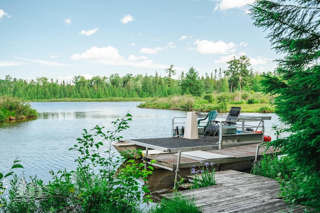 dock area featuring a water view and a view of trees
