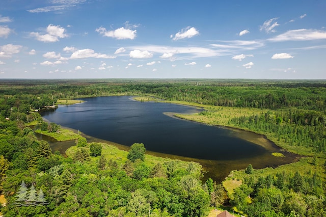 aerial view with a view of trees and a water view