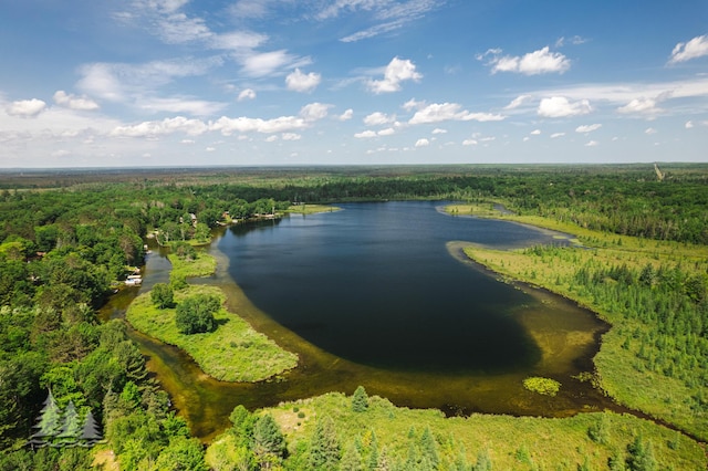 drone / aerial view with a water view and a forest view