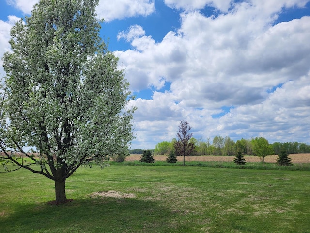 626 W Finerty Rd, West Branch, MI 48661 - view of grassy yard featuring a rural view