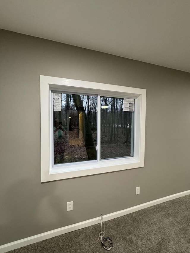 room details with baseboards and carpet flooring