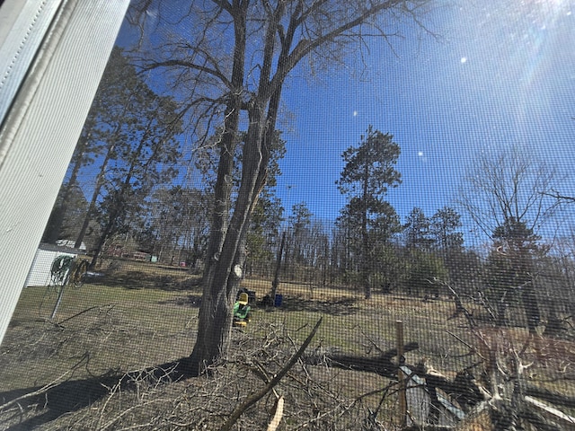 2051 Stutesman Dr, Fairview, MI 48621 - view of yard
