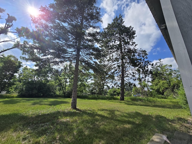 2051 Stutesman Dr, Fairview, MI 48621 - view of grassy yard