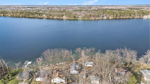 4640 Hiawatha Dr, Cheboygan, MI 49721 - bird's eye view featuring a water view