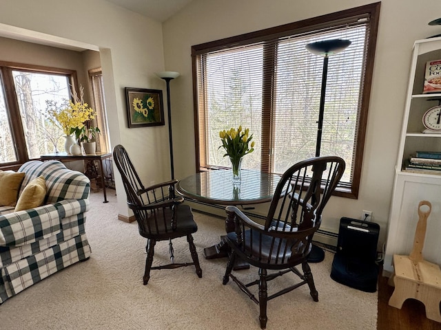 12039 Mackinaw Straits Dr, Cheboygan, MI 49721 - photo 15