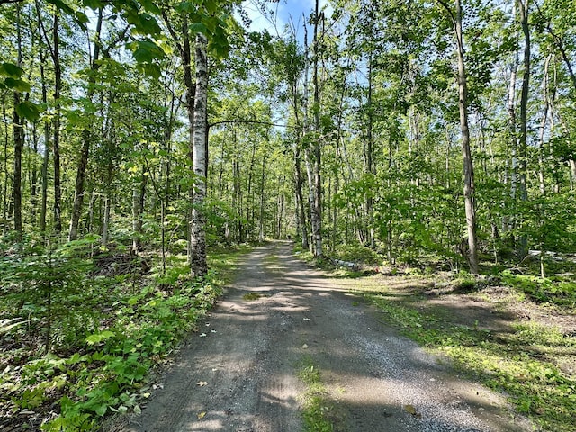 12039 Mackinaw Straits Dr, Cheboygan, MI 49721 - photo 36