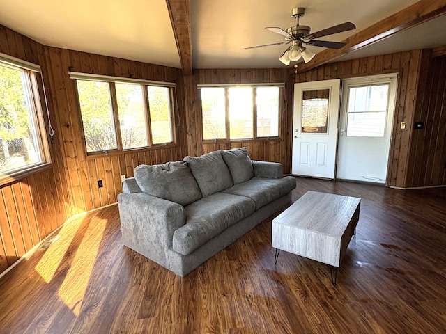living area featuring dark wood-style flooring, ceiling fan, beamed ceiling, and wood walls