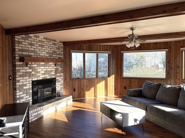 living room featuring wooden walls, a wealth of natural light, and wood finished floors