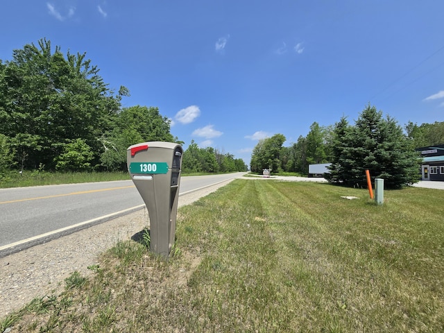 1300 N Perry Creek Rd, Fairview, MI 48621 - view of asphalt street