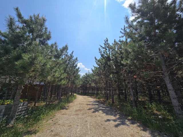 1300 N Perry Creek Rd, Fairview, MI 48621 - view of street