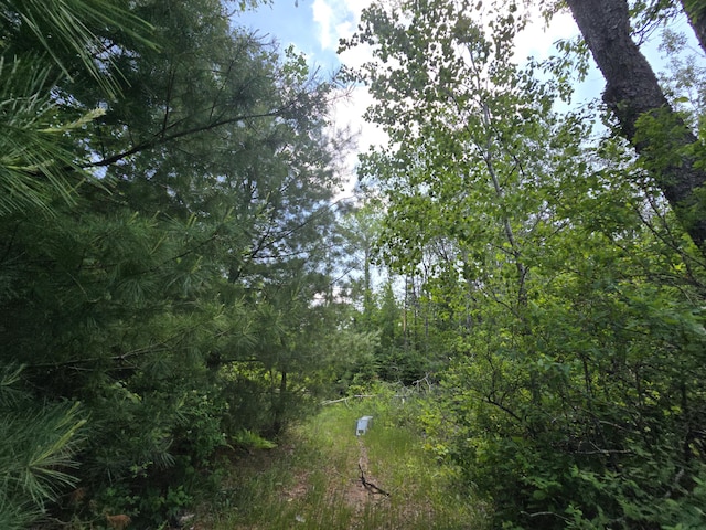 1300 N Perry Creek Rd, Fairview, MI 48621 - view of undeveloped land