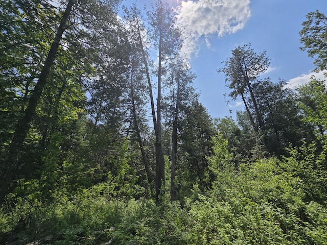 1300 N Perry Creek Rd, Fairview, MI 48621 - view of woods