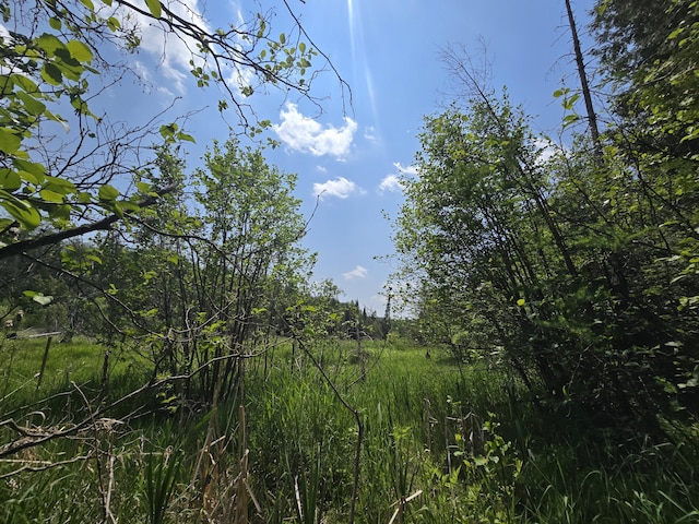 1300 N Perry Creek Rd, Fairview, MI 48621 - view of nature