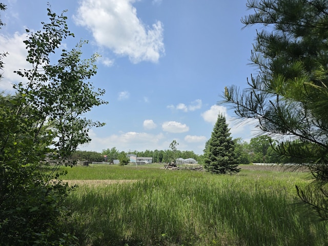 1300 N Perry Creek Rd, Fairview, MI 48621 - view of local wilderness