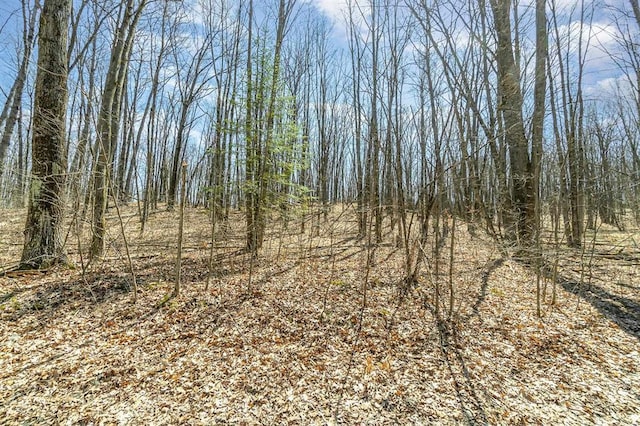Nancy Ann Dr, Gladwin, MI 48624 - photo 7