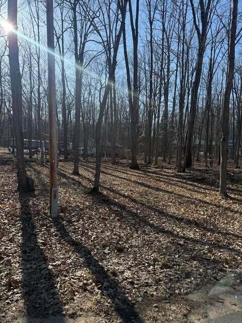 121 Burlington Dr, Roscommon, MI 48653