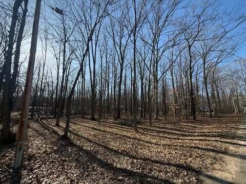121 Burlington Dr, Roscommon, MI 48653