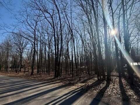 121 Burlington Dr, Roscommon, MI 48653