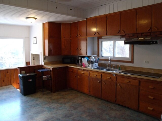 3468 W Nye Rd, Hessel, MI 49745 - kitchen featuring a sink, light flooring, black electric cooktop, ventilation hood, and brown cabinetry