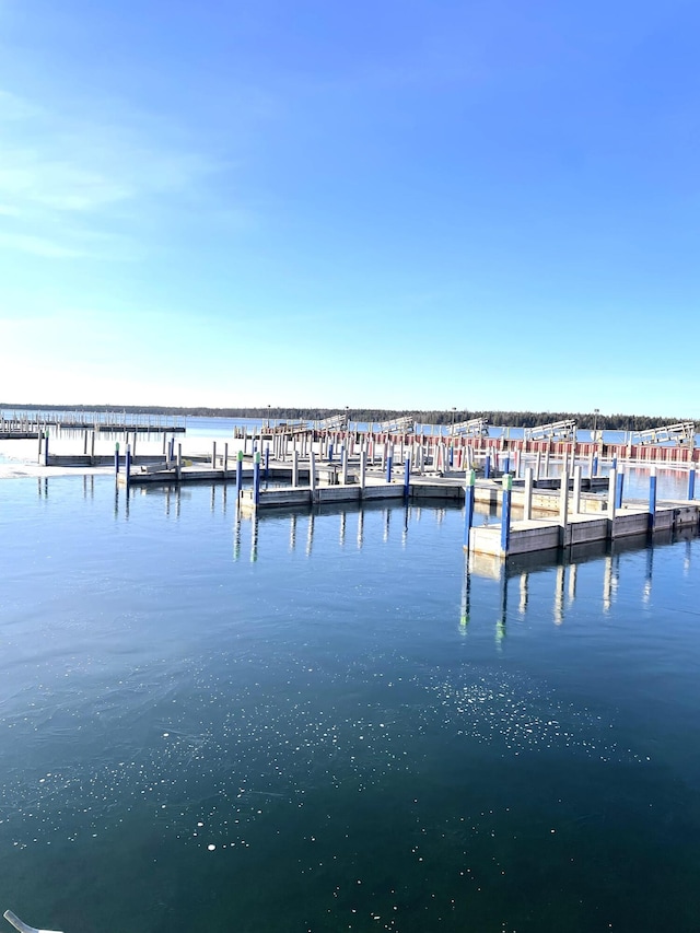 3468 W Nye Rd, Hessel, MI 49745 - dock with a water view