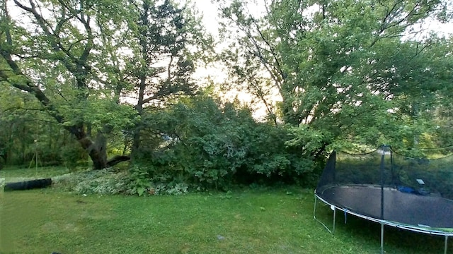 3468 W Nye Rd, Hessel, MI 49745 - view of grassy yard with a trampoline