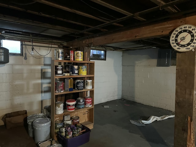 below grade area featuring electric panel