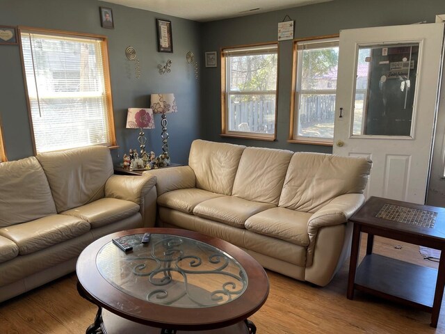 living room with light wood-style floors