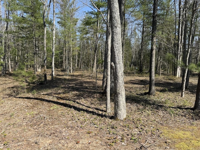 14730 Quiet River Ln, Millersburg, MI 49759 - photo 46