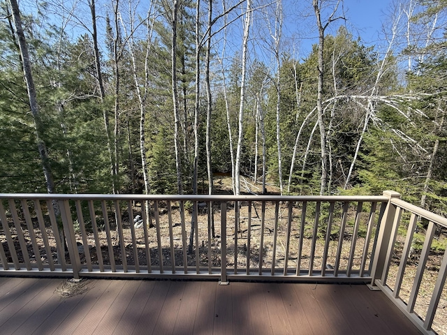 14730 Quiet River Ln, Millersburg, MI 49759 - photo 17