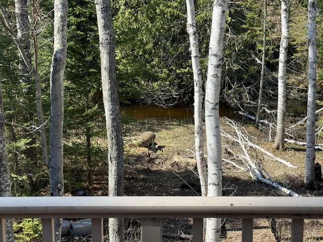 14730 Quiet River Ln, Millersburg, MI 49759 - photo 47