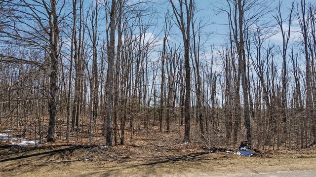 LOT28 Lake Club Dr, Gaylord, MI 49735