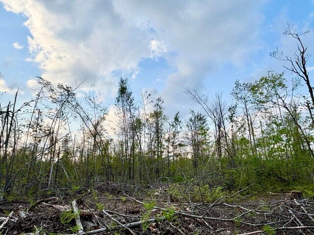 N Townline Rd, Lewiston, MI 49756 - photo 10