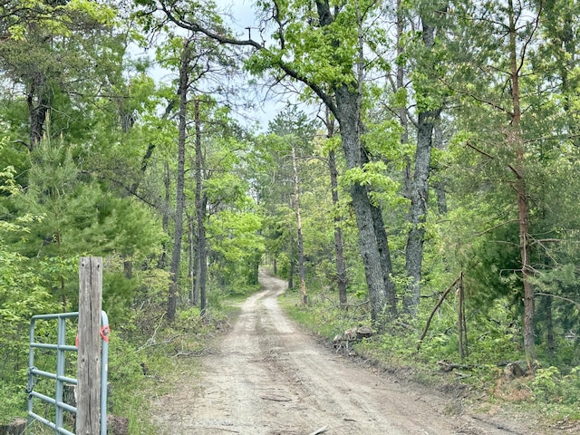 N Townline Rd, Lewiston, MI 49756 - photo 1