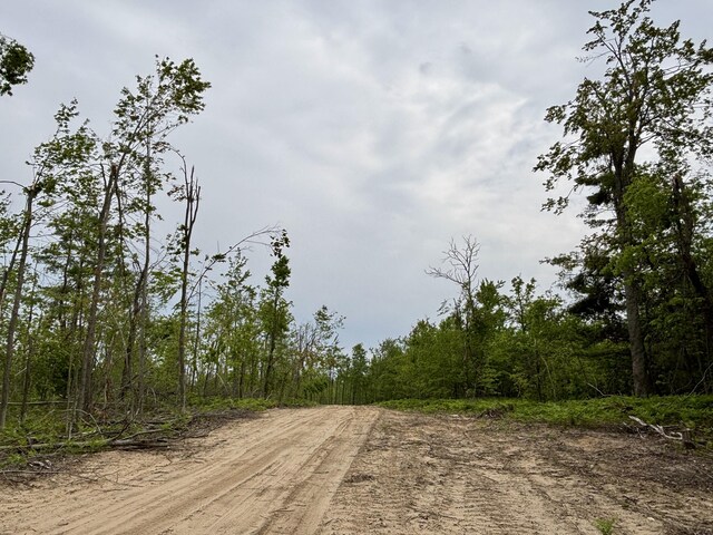 N Townline Rd, Lewiston, MI 49756 - photo 5