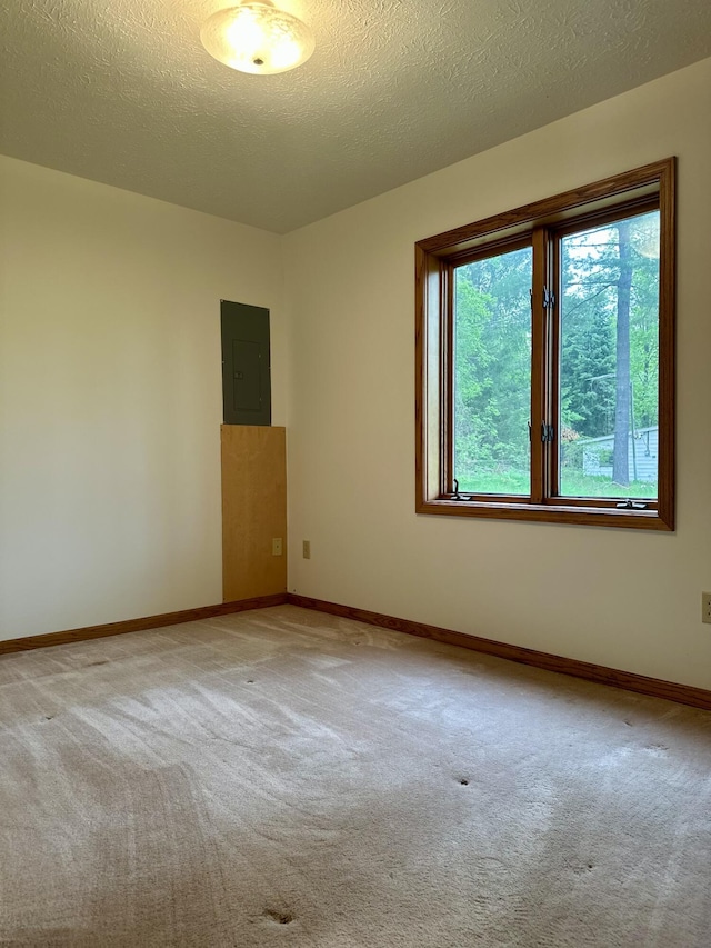 151 Elizabeth, Hillman, MI 49746 - photo 7