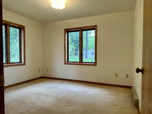 151 Elizabeth, Hillman, MI 49746 - photo 6