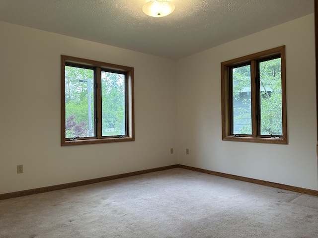 151 Elizabeth, Hillman, MI 49746 - photo 5
