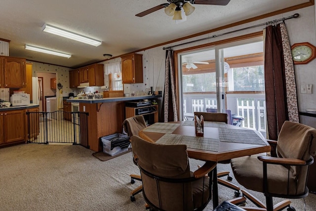 dining space featuring light colored carpet, crown molding, a ceiling fan, and a textured ceiling